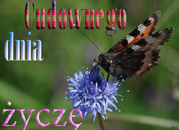 Do wysyłania - cudowny-dzień1.gif