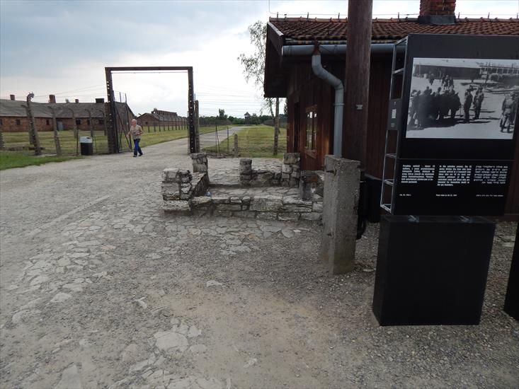 KL Auschwitz-Birkenau - 147.JPG